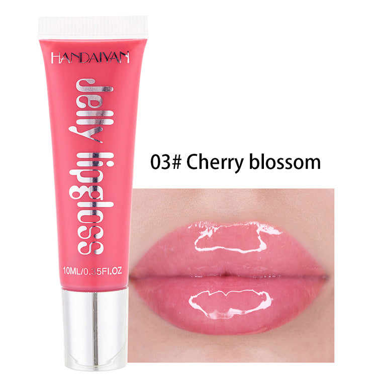Viral “Glass Lips” Lip Gloss